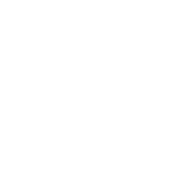 white vb logo